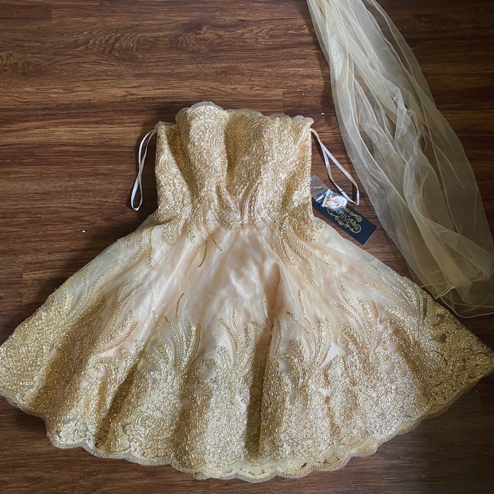 champagne color dress with embroidered rhinestones